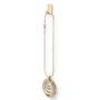 Command Crochet Déco Doré, Petit Modèle, 4 Crochets, 5 Languettes Transparentes - Sans Outils - Pour Accrocher et Décorer Sans A