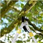 GRÜNTEK Lame pour Coupe Branche ÉbrancheurTéléscopiques XT 685-1015mm
