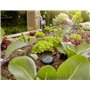 Gardena Câble de rallonge (10 m) : Pour capteur de pluie Gardena et sonde d'humidité du sol Gardena, câble de raccordement avec 