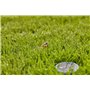 Gardena Câble de rallonge (10 m) : Pour capteur de pluie Gardena et sonde d'humidité du sol Gardena, câble de raccordement avec 