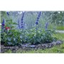 Gardena Câble de rallonge (10 m) : Pour capteur de pluie Gardena et sonde d'humidité du sol Gardena, câble de raccordement avec 