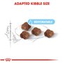 Royal Canin Mother & Babycat | 400 g | Aliments secs pour chats | Spécialement conçu pour le chat et ses chatons | Pour renforce