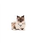 Royal Canin Mother & Babycat | 400 g | Aliments secs pour chats | Spécialement conçu pour le chat et ses chatons | Pour renforce