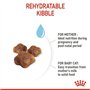 Royal Canin Mother & Babycat | 400 g | Aliments secs pour chats | Spécialement conçu pour le chat et ses chatons | Pour renforce