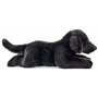 Animal de Compagnie – Doudou