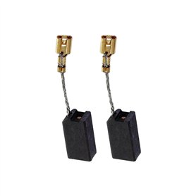 Lot de 2 balais de charbon pour Hilti TE14