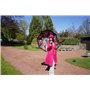 VON LILIENFELD® Parapluie Fleur Roseraie Canne Grand Robuste Ouverture Automatique Double Épaisseur