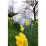 VON LILIENFELD® Parapluie Rosina Wachtmeister: Dolce Vita Canne Grand Robuste Ouverture Automatique Art Chat