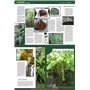 Green24 Engrais pour bananes Musa Haute technologie
