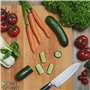 12 légumes incontournables à planter en un set pratique