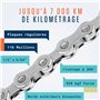 Campagnolo I Incl. Attac