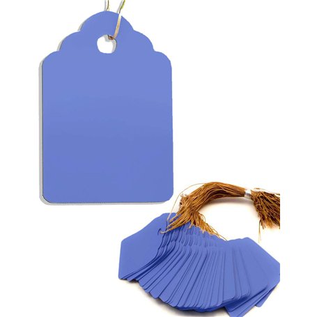 HomeTools.eu® - Lot de 100 pendentifs pour plantes avec ficelle