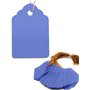 HomeTools.eu® - Lot de 100 pendentifs pour plantes avec ficelle