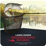 Paradox Fishing Épuisette caoutchoutée 1,7 m I Épuisette de pêche pour brochet, sandre, épuisette caoutchoutée