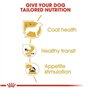 Royal Canin Chihuahua pour chien adulte Nourriture, 12 X 85 g