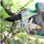 GRÜNTEK Sécateur de Jardin Professionnel à Crémaillère. Cisaille Coupe Branches à Cliquet Manuel et Automatique