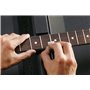 Ibanez IFC1000 Kit de nettoyage des frettes