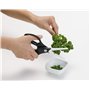 herbes et ciseaux de cuisine