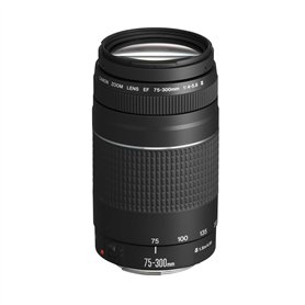 Canon EF 75-300mm f/4.0-5.6 III Objectif [Ancien Modèle]