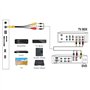 CABLEPELADO Câble 3 x RCA Femelle Vers 3,5 4 Broches Jack 3,5 mm Mâle | Adaptateur Composant AV pour TV TCL