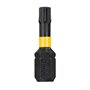 DEWALT Coffret Extra Small Tough Case de 32 Pièces avec Embouts de Vissage Impact Torsion 25mm - Kit de Bricolage Complet - Embo