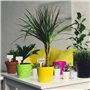 TRIXES jardin semences étiquetage et affichage - Tags plante 100PC-en forme de T pour le jardinage