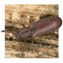 SoluGuard Traitement Larves, Vers à Bois et Termites - 500 ml - Spray contre les Insectes Xylophages détruisant le Bois - Prêt à