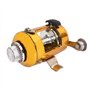 DIGIFLEX Mini Canne à pêche de Poche argentée avec Moulinet doré