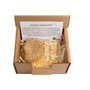 Véritable ammonite malgache dans un coffret cadeau avec support – 160 millions d'années