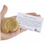 Véritable ammonite malgache dans un coffret cadeau avec support – 160 millions d'années