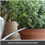 CKB LTD Petit arrosoir d'intérieur de 1.1L en Acier galvanisé avec revêtement en Poudre de Couleur Craie pour Plantes d'intérieu