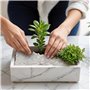 6 kg de Cailloux Decoratif Naturel pour Vase Plante en Pot - Galet Blanc Jardin Ext