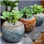BELLE VOUS Petit Gravier Aquarium - Sac de 3,6 kg de Cailloux Decoratif Naturel pour Vase Plante en Pot - Galet Blanc Jardin Ext