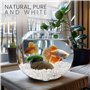 BELLE VOUS Petit Gravier Aquarium - Sac de 3,6 kg de Cailloux Decoratif Naturel pour Vase Plante en Pot - Galet Blanc Jardin Ext