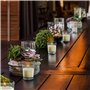 BELLE VOUS Bougie Votive Non Parfumée avec Bougeoir en Verre Transparent (48 Pcs) - 12 h de Combustion - Bougie de Table avec Po