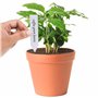 BELLE VOUS Lot de 500 Etiquette Potager en Plastique Multicolore - 10 x 2 cm - Pancarte Jardin Potager/Etiquette Jardin Imperméa