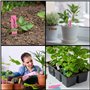 BELLE VOUS Lot de 500 Etiquette Potager en Plastique Multicolore - 10 x 2 cm - Pancarte Jardin Potager/Etiquette Jardin Imperméa