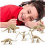 THE TWIDDLERS 48 Squelettes de Dinosaures pour Garçons & Filles - Jeu Éducatif de Paléontologie - Dino Fossiles à Creuser - Écol