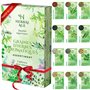 HERBAL AGE 12 Variétés de Plantes d'Herbes