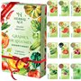 HERBAL AGE Cultivez Votre Propre Potager – 12 Variétés De graines De légumes