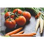 5100 graines Prêtes A Etre Cultivées – Kit De Plan