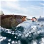 Jinlaili 10Pcs Leurres de Pêches, Cuillers de Pêche, Leurre Artificiel, Kits Leurres pêche Appâts, Spinnerbait avec boîte de Ran