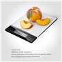 Plateau en Acier Inoxydable