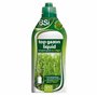 BSI - Top Gazon Engrais Liquide - Un Gazon Vert en 3 Jours - pour 500 m² - 1L