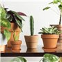 Lot de 28 Pots de Fleurs,Petite Terre Cuite Pots avec Trou de Drainage pour l'intérieur, extérieur, Plante Jardin Balcon Décorat