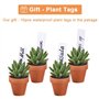 Lot de 28 Pots de Fleurs,Petite Terre Cuite Pots avec Trou de Drainage pour l'intérieur, extérieur, Plante Jardin Balcon Décorat