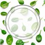 KADAX Coupe en Verre, Bol en verre rond de 19 cm de diamètre - Bol profond pour fruits, salade, bonbons, bol à fruits empilable,