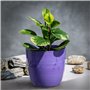 Cache-Pot pour Une Décoration Intérieure Raffinée et