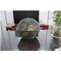 QWXOSR Corbeille Fruit Panier a Fruits - Corbeille a Fruit Avec Couvercle- Corbeille a Fruit Panier a Fruit noir (Gris 1 set)
