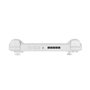 Console de Jeu Portable Anbernic RG406H White